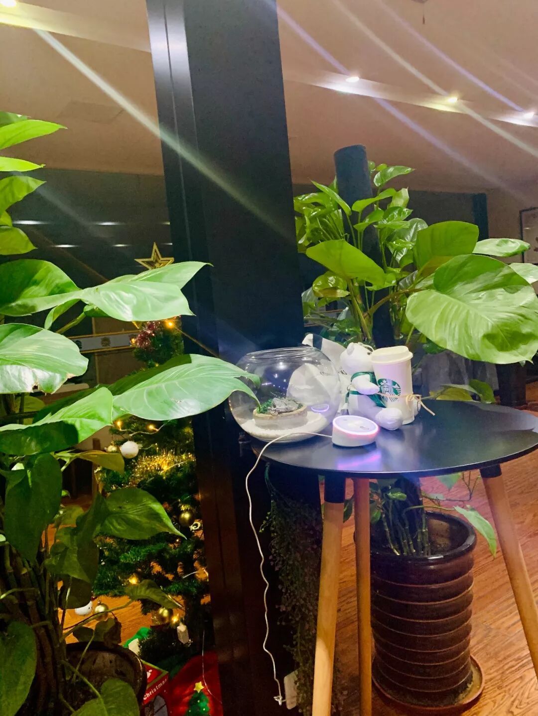 圣诞快乐!请查收这份来自TTK®涂泰克的节日祝福:
