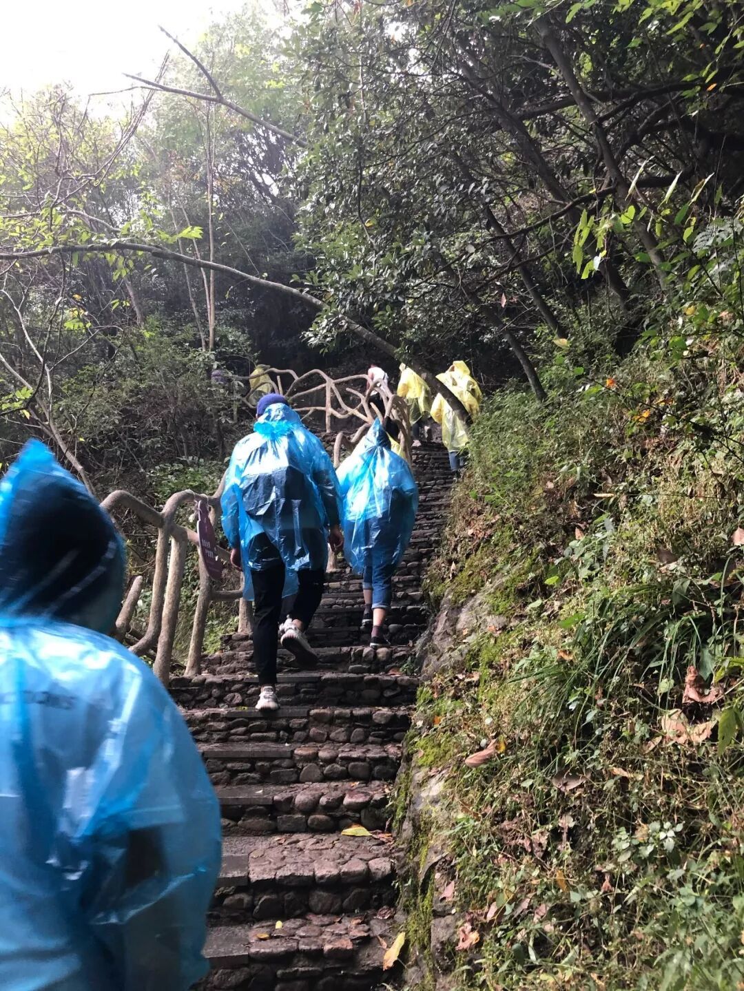 TTK涂泰克|贸易部仙居拓展游—永远年轻,永远热血沸腾!