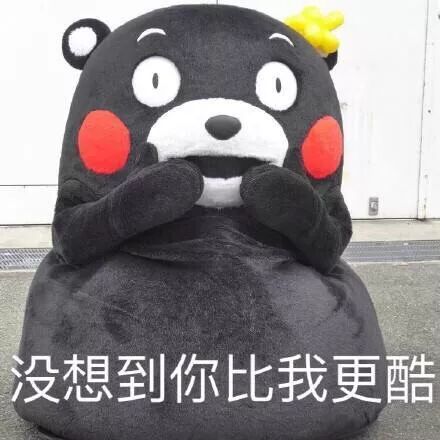 TTK®雪服系列:《爸爸去哪儿》的萌娃都在穿!