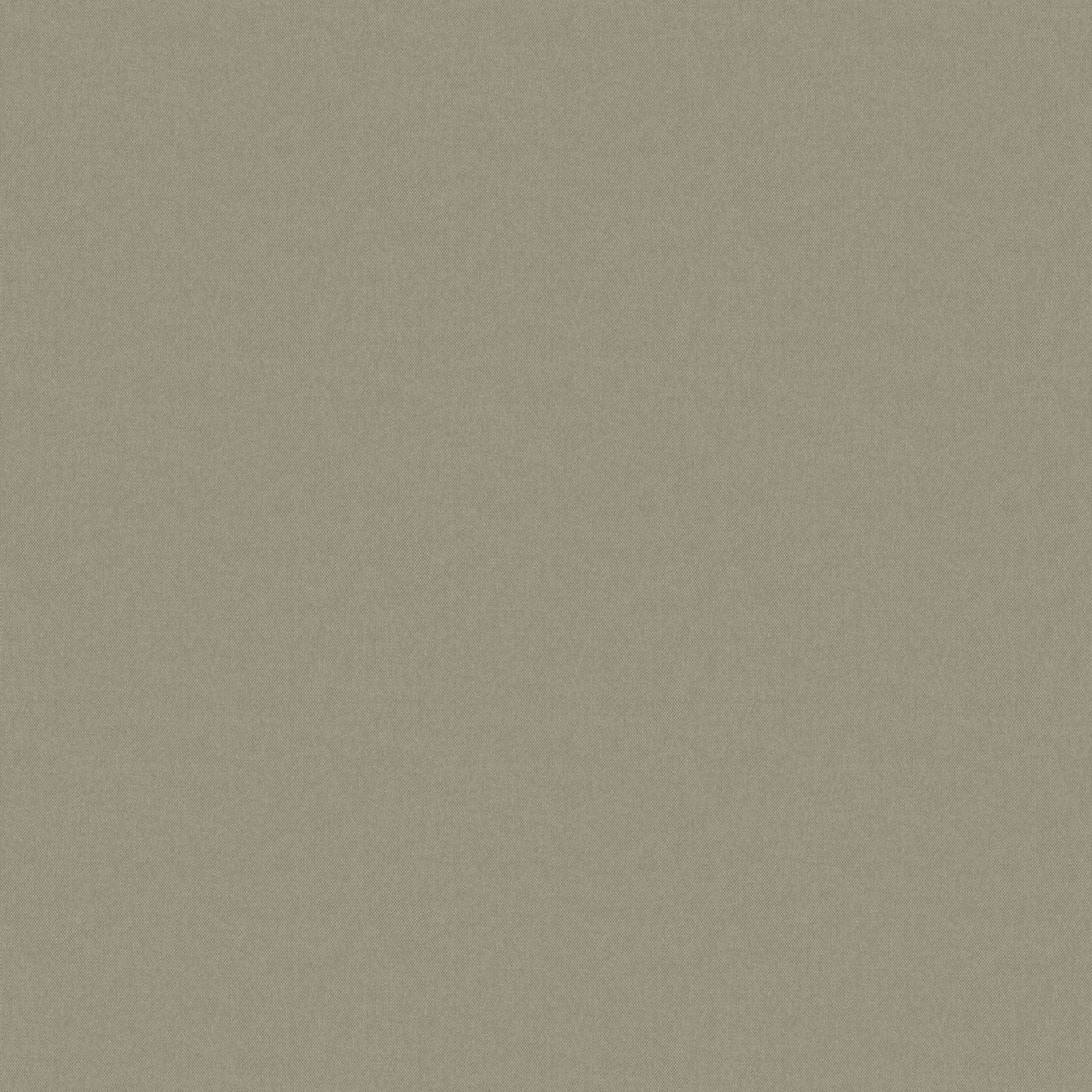 荔泽(导电布）