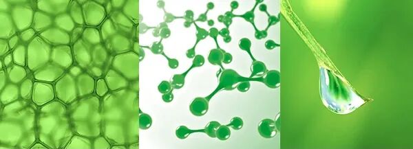 安全与环保并存:TTK涂泰克®用生物基无氟科技重新定义冲锋衣未来