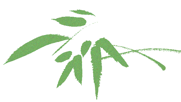 TTK涂泰克®端午专属礼丨浓情端午,粽香安康