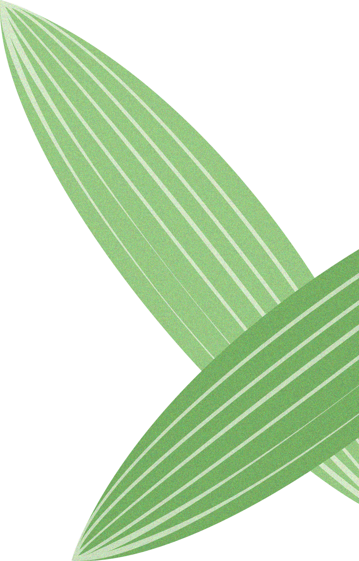TTK涂泰克®端午专属礼丨浓情端午,粽香安康