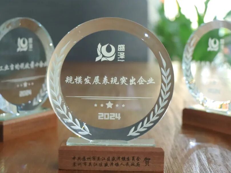 TTK涂泰克®荣获盛泽镇三项2024年度重磅奖项!